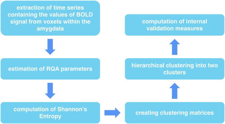 Exploring the role of the amygdala in Compulsive Sexual Behavior Disorder via a parcellation pipeline based on Recurrence Quantification Analysis.