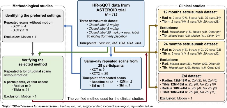 Non-invasive quantification of bone (re)modeling dynamics in adults with osteogenesis imperfecta treated with setrusumab using timelapse high-resolution peripheral-quantitative computed tomography.