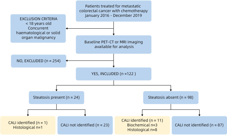 Steatosis is not associated with increased risk of chemotherapy-associated liver injury in metastatic colorectal cancer.
