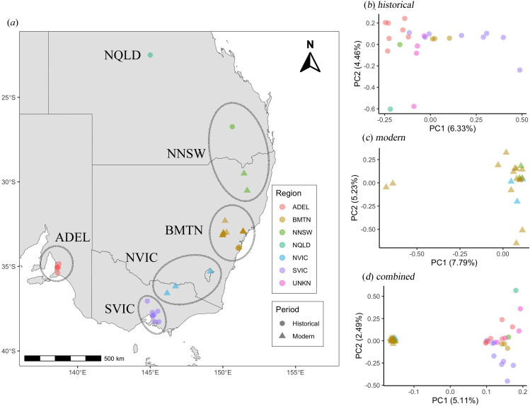 Time-lagged genomic erosion and future environmental risks in a bird on the brink of extinction.