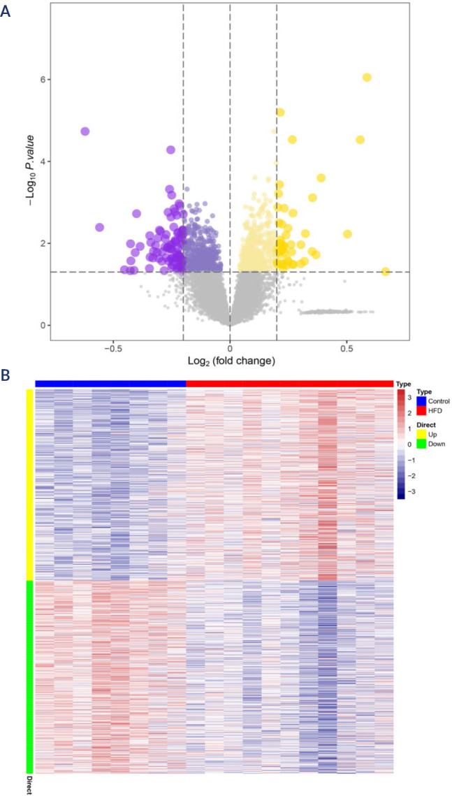 Comprehensive microarray analysis for the identification of therapeutic targets within HIF-1α signalling networks in diet-induced obesity via hypothalamic inflammation.