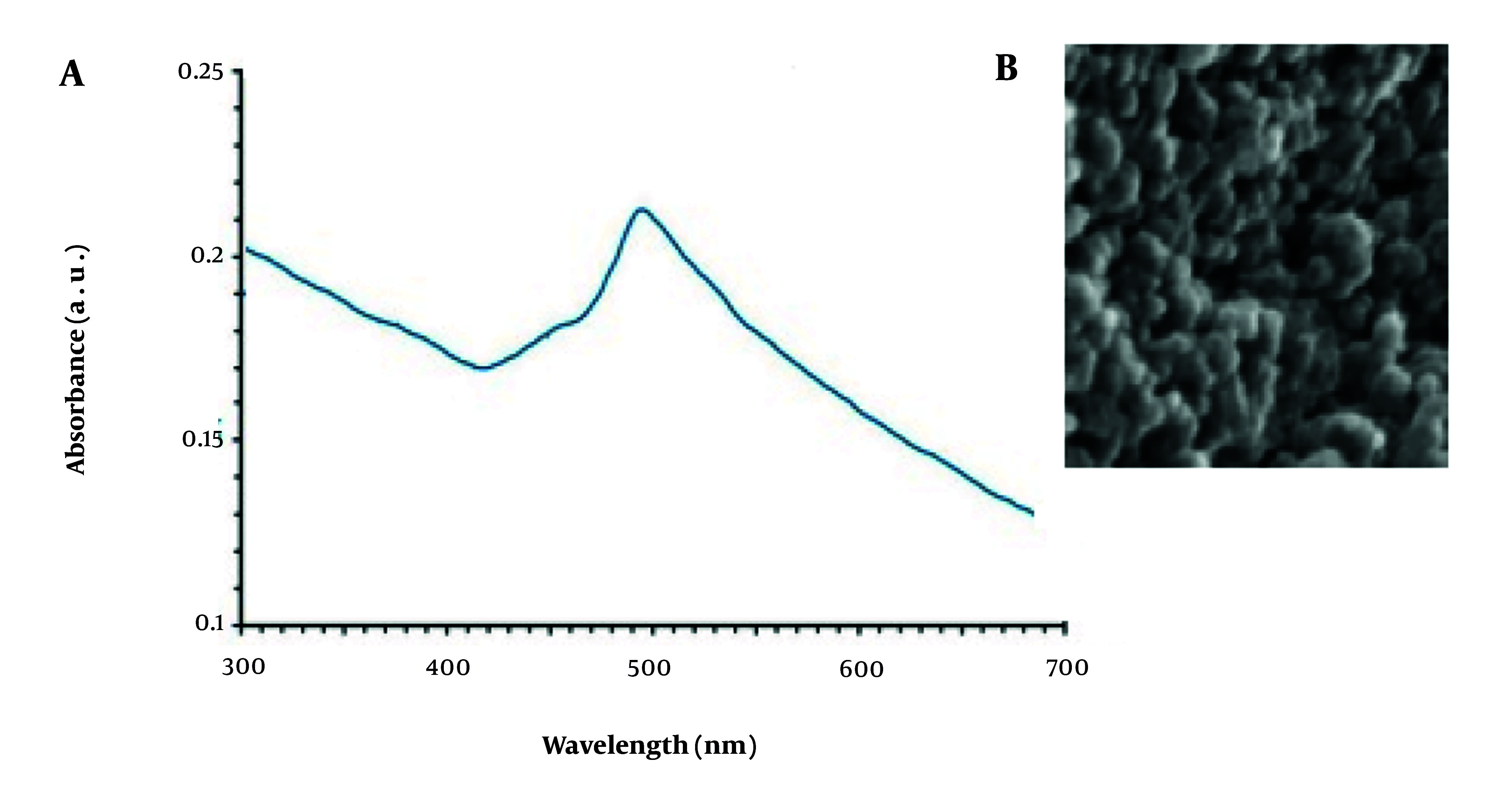 Antimicrobial, Anti-inflammatory, Angiogenesis, and Wound Healing Activities of Copper Nanoparticles Green Synthesized by <i>Lupinus arcticus</i> Extract.