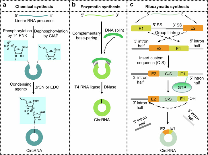 Abstract Image