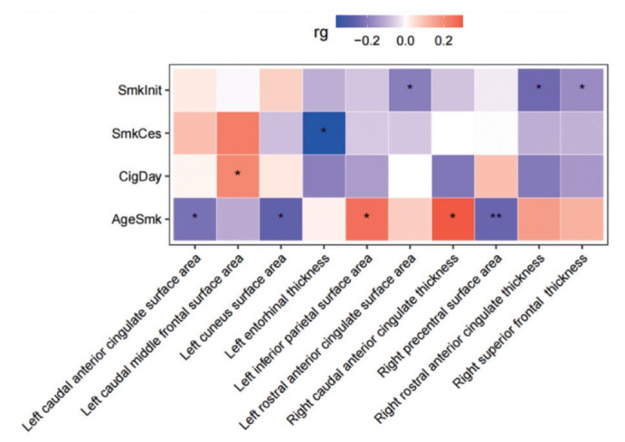 Genetic Correlation and Mendelian Randomization Analysis Revealed an Unidirectional Causal Relationship Between Left Caudal Middle Frontal Surface Area and Cigarette Consumption.