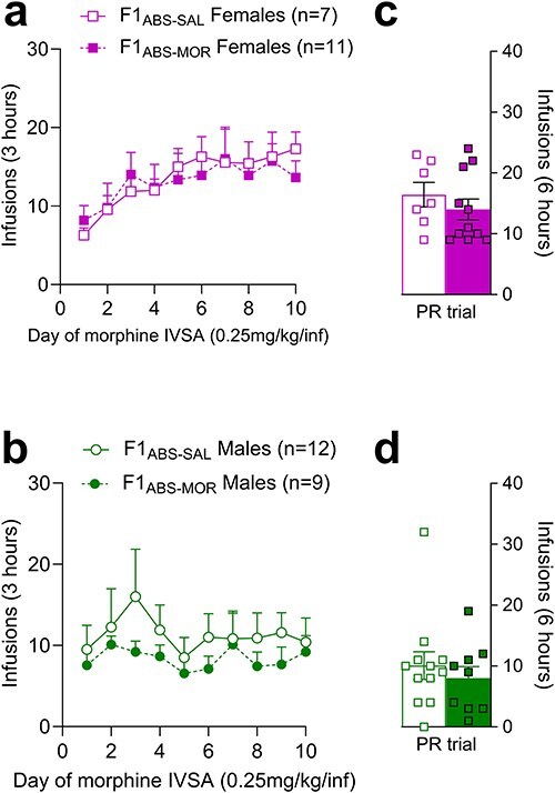 Extended abstinence from morphine alters sperm smRNA expression and prevents transmission of intergenerational phenotypes.