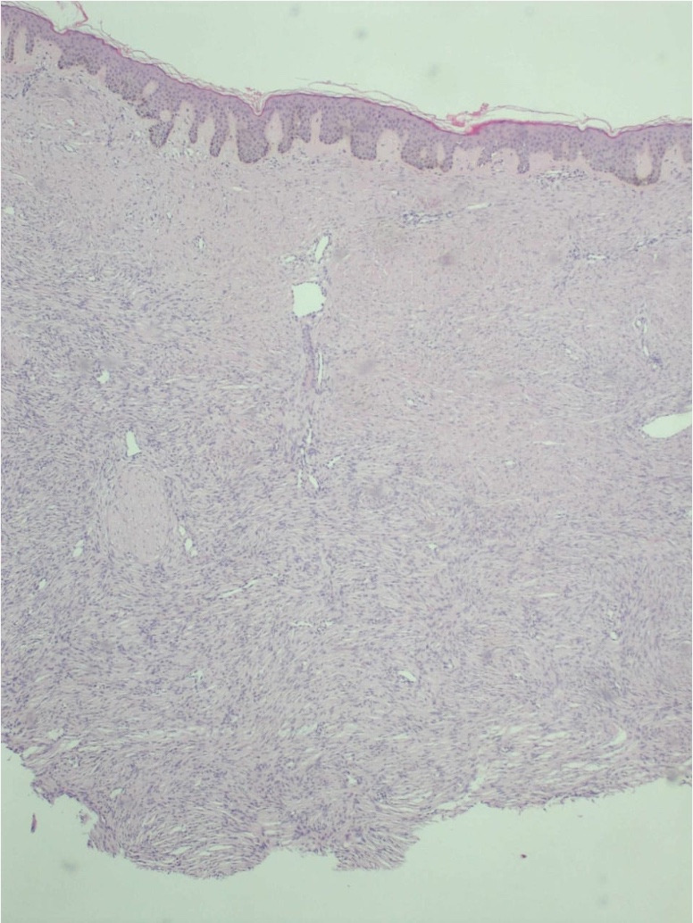 Abstract Image
