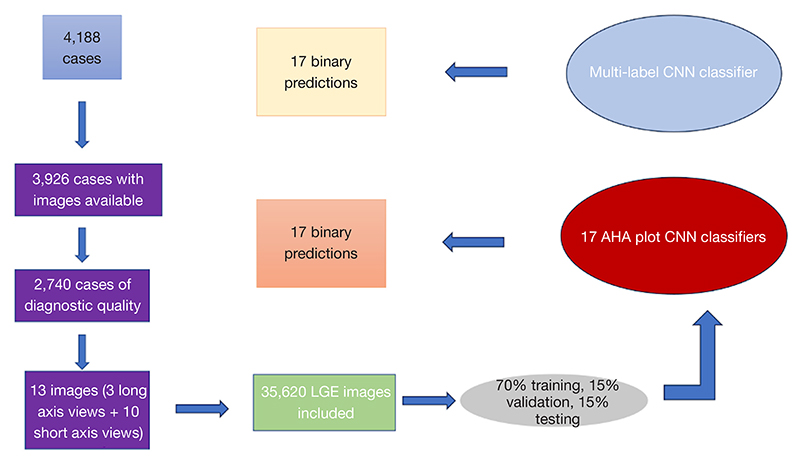 Qualitative American Heart Association plot of late gadolinium enhancement with mortality and ventricular arrhythmia prediction using artificial intelligence.