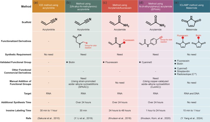 Advances in Detection Methods for A-to-I RNA Editing.