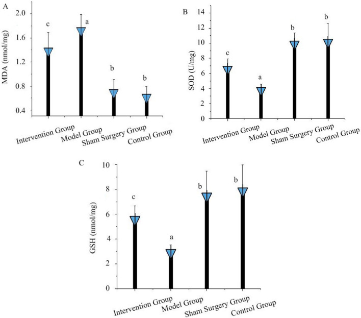 Effects of repetitive transcranial magnetic stimulation on learning and memory cognitive function in rats with vascular cognitive impairment and its neural induction mechanism.