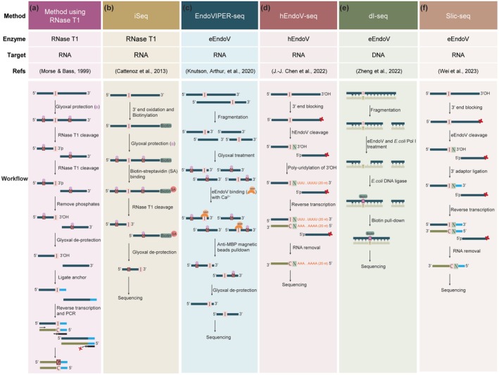 Advances in Detection Methods for A-to-I RNA Editing.