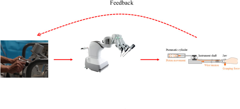 In vivo evaluation of tissue damage from varying grasping forces using the Saroa surgical system.