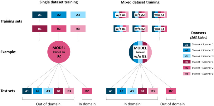 Artificial intelligence can be trained to predict <i>c-KIT</i>-11 mutational status of canine mast cell tumors from hematoxylin and eosin-stained histological slides.