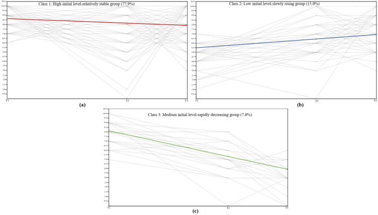 The developmental trajectories and modifiable factors of adolescents' subjective well-being from late adolescence to early adulthood.