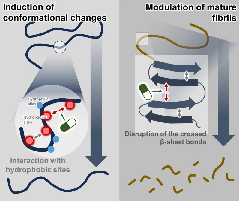 Dual modulation of amyloid beta and tau aggregation and dissociation in Alzheimer's disease: a comprehensive review of the characteristics and therapeutic strategies.