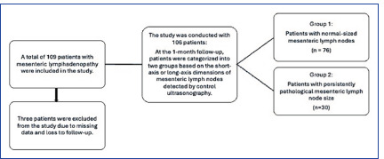 Clinical Evaluation and Outcomes of Mesenteric Lymphadenopathy in Children: A Cross-Sectional Analysis.