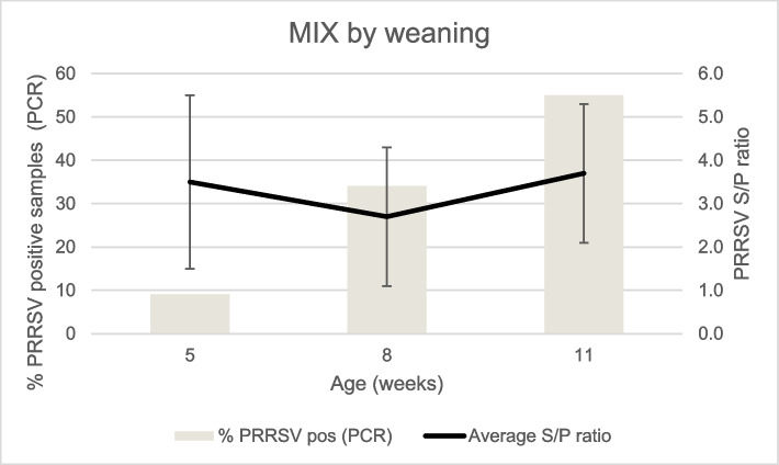 Impact of weaning procedures on Porcine Reproductive and Respiratory Syndrome Virus (PRRSV) circulation in the nursery section.