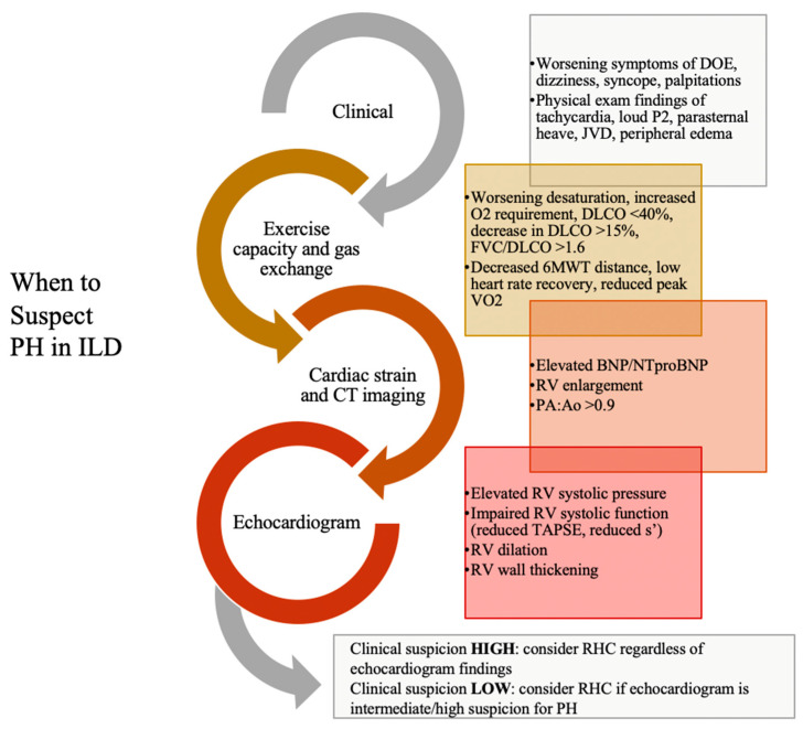 Review of the Diagnosis and Management of Pulmonary Hypertension Associated with Interstitial Lung Disease (ILD-PH).