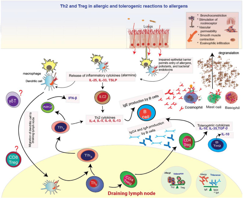 Novel Approach Methodologies in Modeling Complex Bioaerosol Exposure in Asthma and Allergic Rhinitis Under Climate Change.