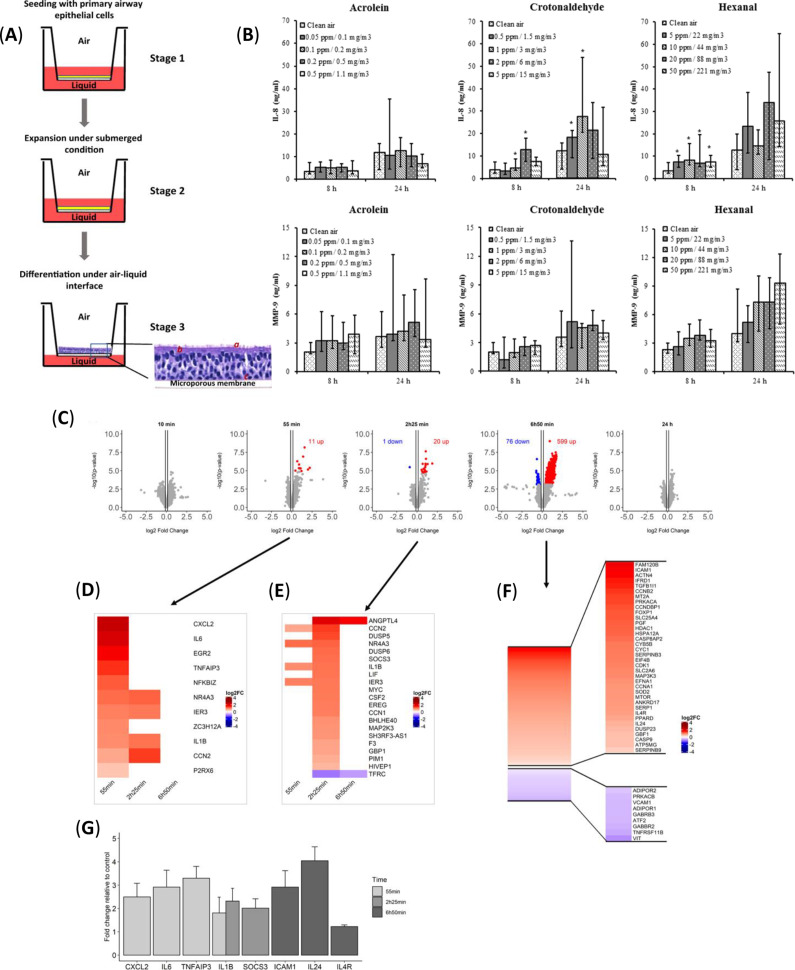 Novel Approach Methodologies in Modeling Complex Bioaerosol Exposure in Asthma and Allergic Rhinitis Under Climate Change.