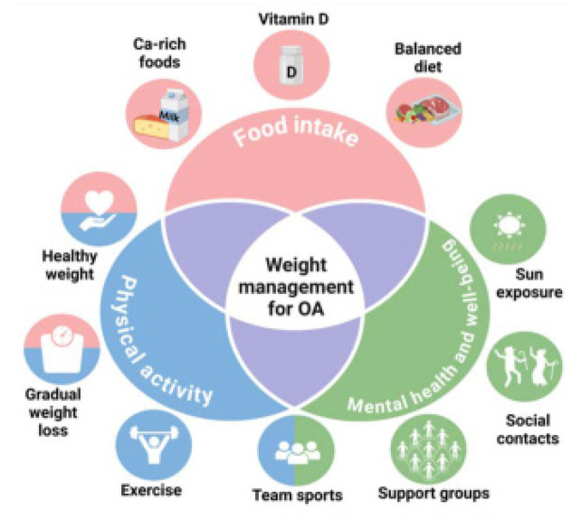 Weight Loss, but Not at Any Cost: Risks and Challenges in Patients with Osteoarthritis.
