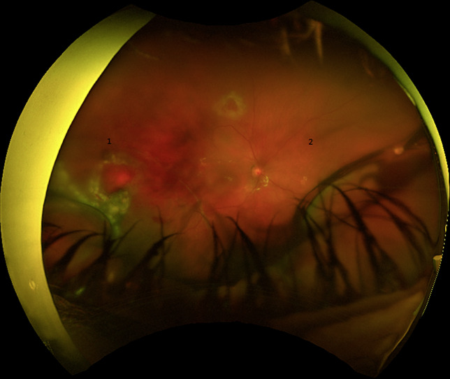 Abstract Image