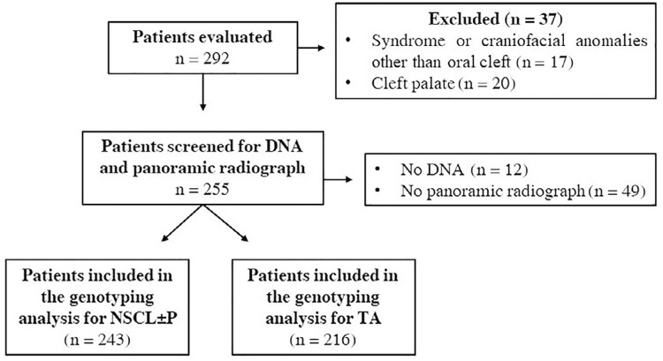 Exploring polymorphisms in genes encoding growth factors associated with non-syndromic cleft lip with or without cleft palate and tooth agenesis.