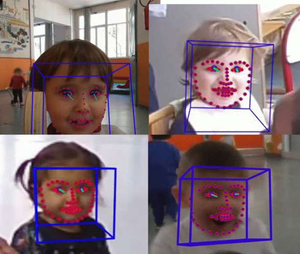 Is it a Match? Yawn Contagion and Smile Mimicry in Toddlers.