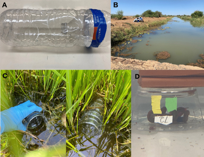 Use of snail traps for surveillance of schistosome-shedding snails in rice fields and fragile ecosystems.