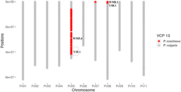 Mapping resistance to Sclerotinia white mold in two pinto bean recombinant inbred line populations.