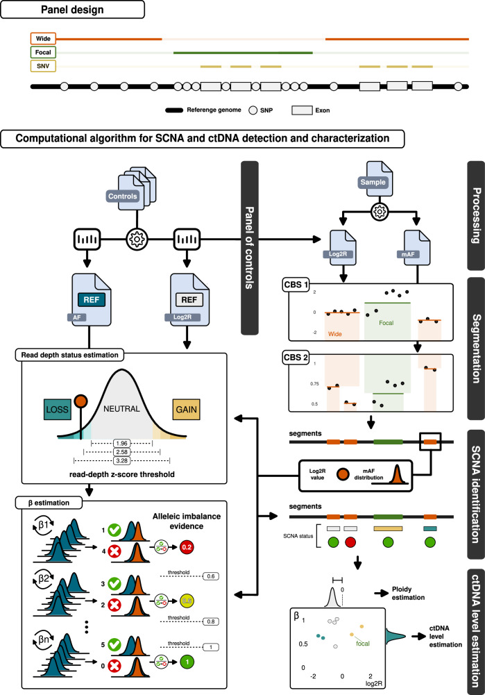 Enabling sensitive and precise detection of ctDNA through somatic copy number aberrations in breast cancer.