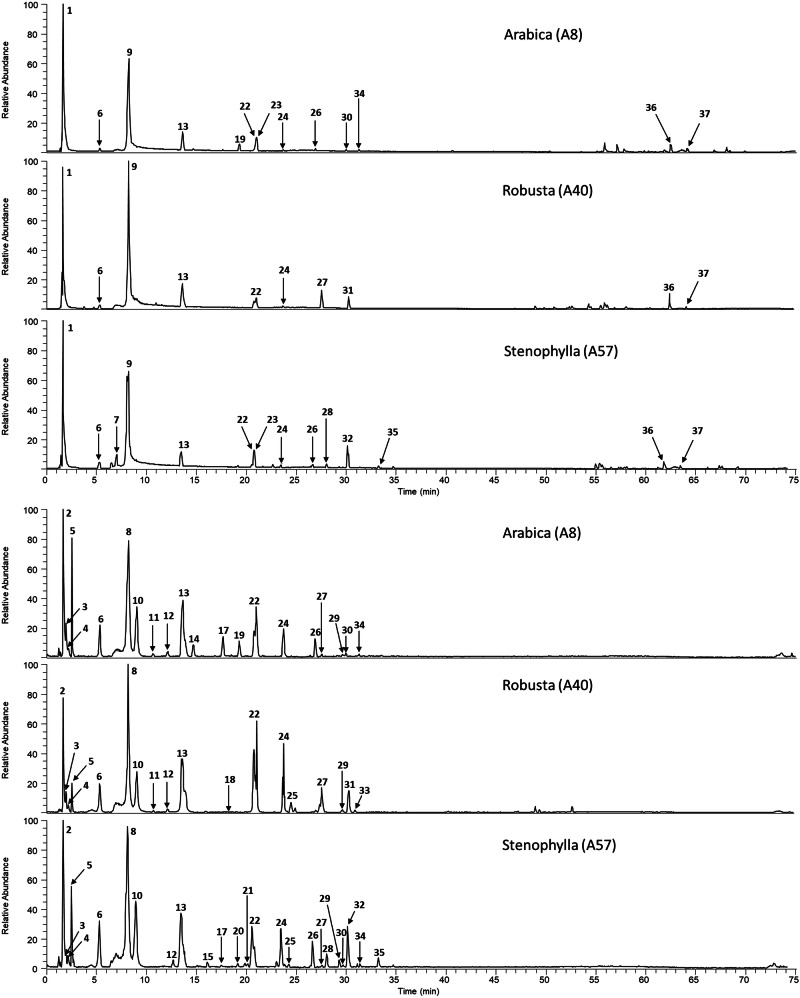 Metabolomic insights into the Arabica-like flavour of stenophylla coffee and the chemistry of quality coffee.