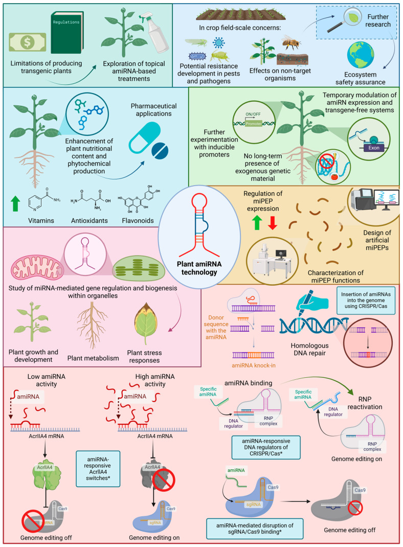 The Emerging Applications of Artificial MicroRNA-Mediated Gene Silencing in Plant Biotechnology.
