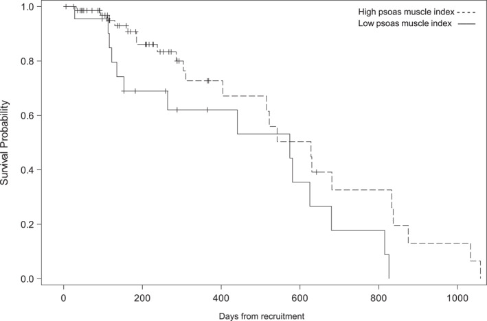 The association of sarcopenia and frailty in diabetes-related foot disease: A 3-year prospective evaluation.