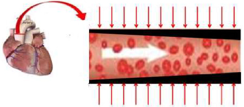 Soret Effect and Chemical Process on MHD Oscillatory Flow in a Physiological Fluid.