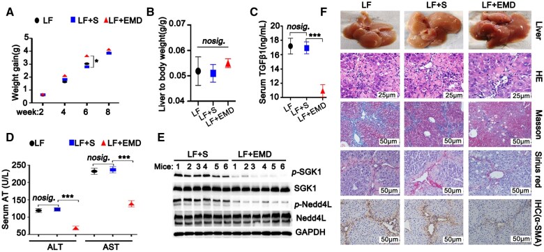 Nedd4L signaling contributes to carbon tetrachloride-induced liver fibrosis in female mice and is associated with enteric dysbacteriosis.