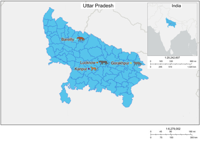Genetic characterization of zoonotic hookworms infecting wild felids in northern India.