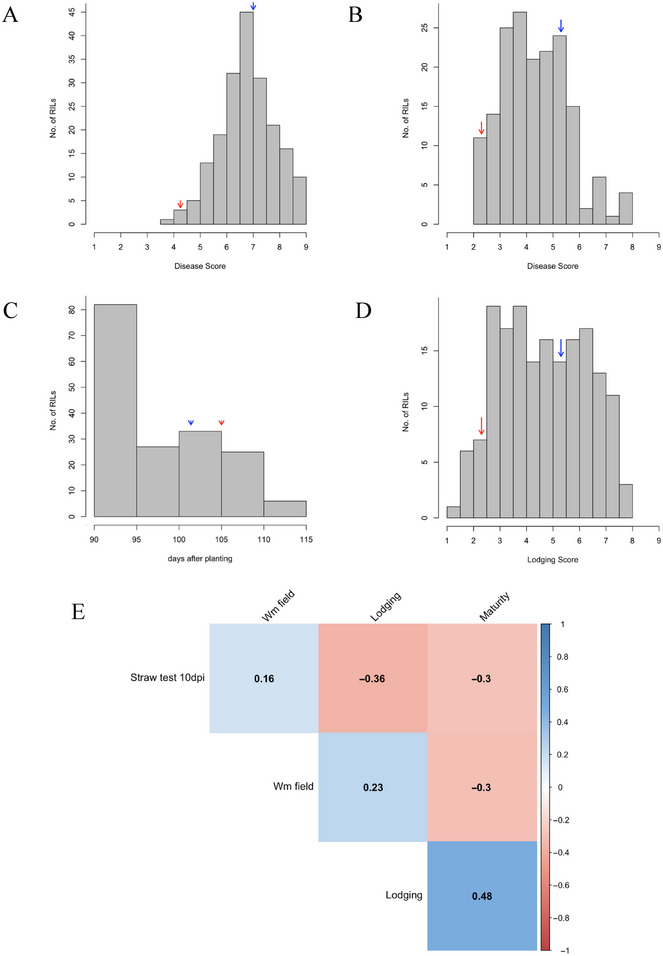 Mapping resistance to Sclerotinia white mold in two pinto bean recombinant inbred line populations.