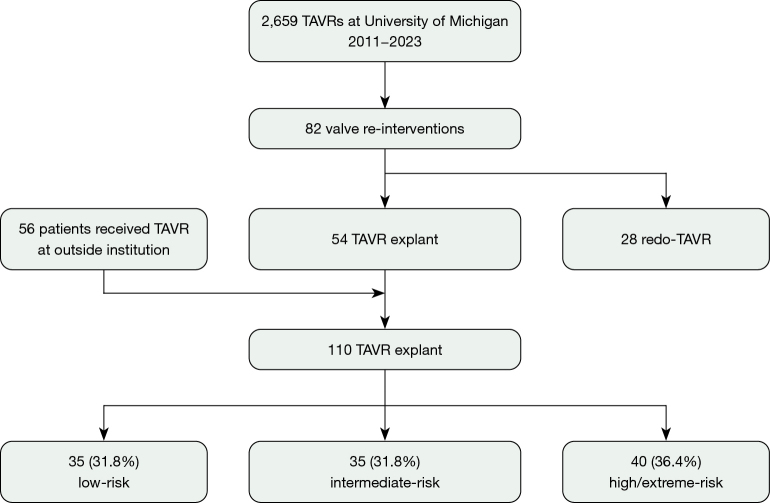 Clinical outcomes of TAVR explant stratified by original risk profile: insights from 110 TAVR explants.