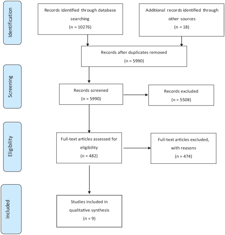 What functions do palliative care bereavement services deliver? A scoping review.
