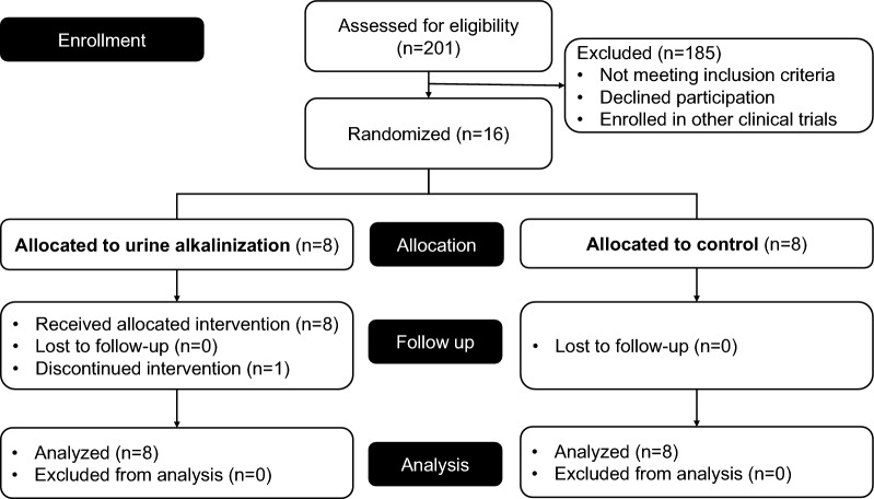 The effects of urine alkalinization on kidney function in critically ill patients with COVID-19: a proof-of-concept randomized clinical trial.