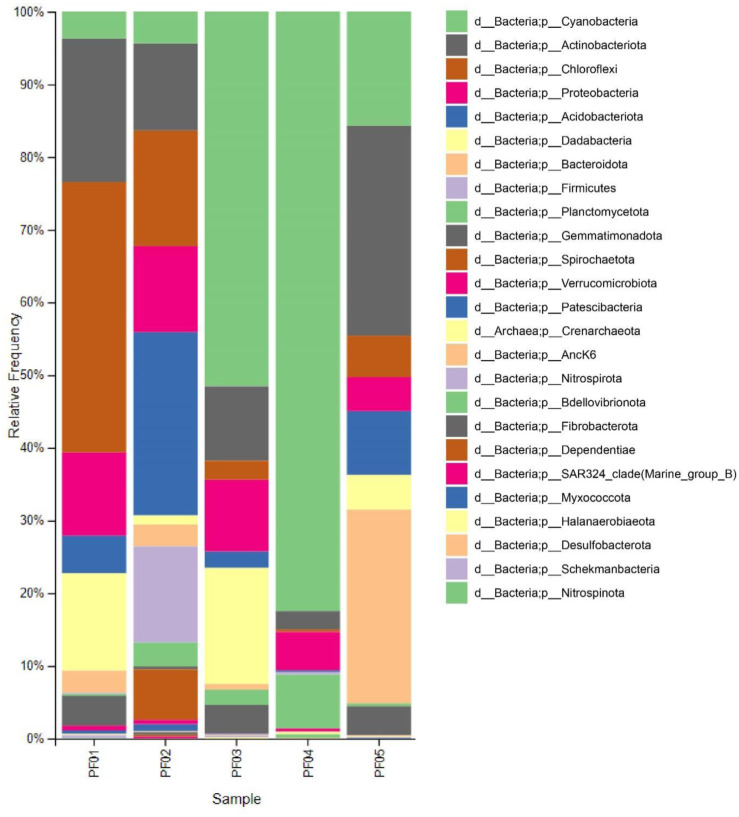 Microbiome profiling and Actinomycetes isolation from tropical marine sponges.
