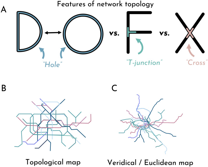 Children's Understanding of Topological Relations.