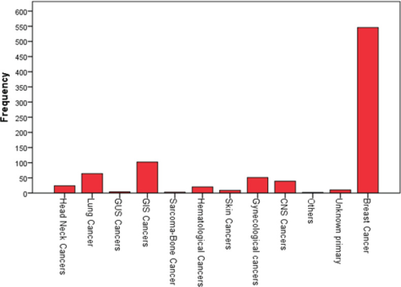 The first thousand days in a newly established radiation oncology clinic: an evaluation study.