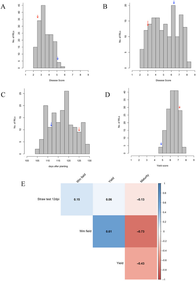 Mapping resistance to Sclerotinia white mold in two pinto bean recombinant inbred line populations.