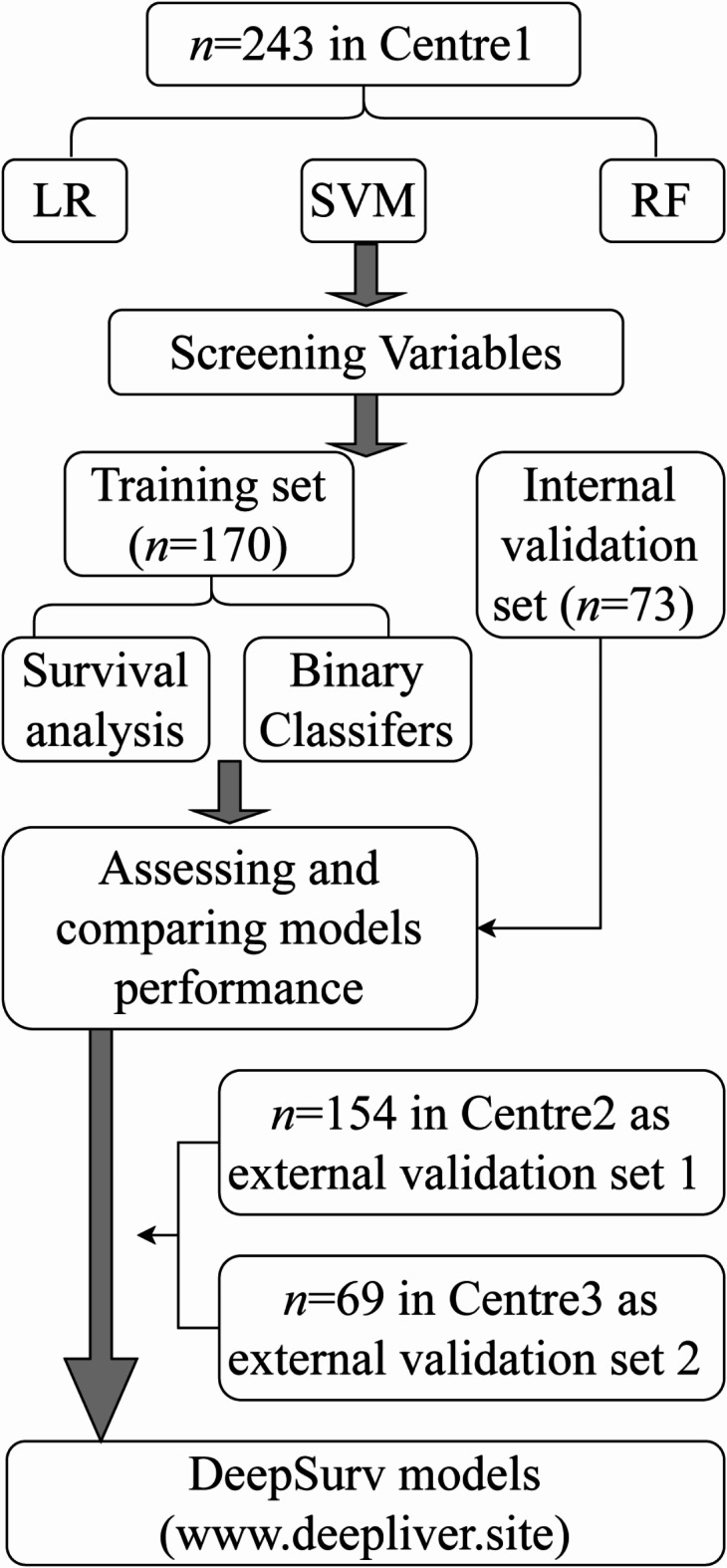 Deep learning for hepatocellular carcinoma recurrence before and after liver transplantation: a multicenter cohort study.