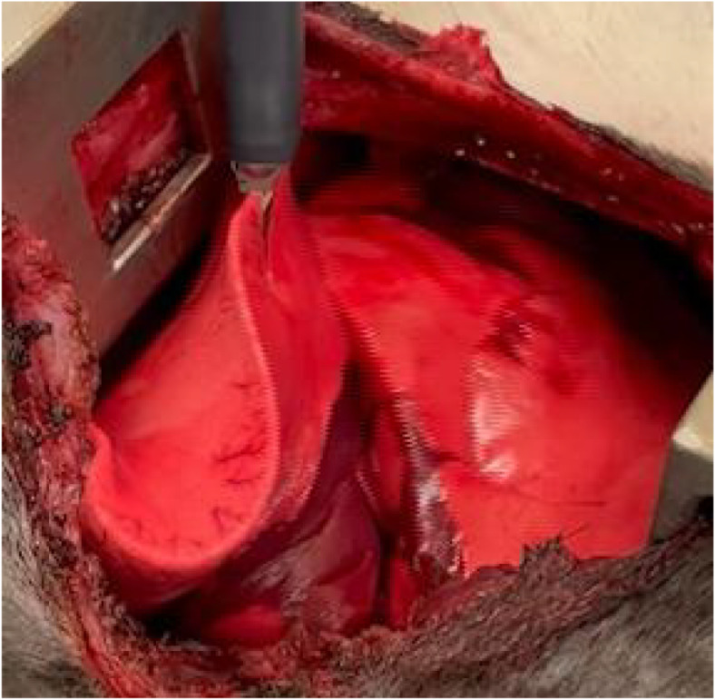 In vivo evaluation of tissue damage from varying grasping forces using the Saroa surgical system.