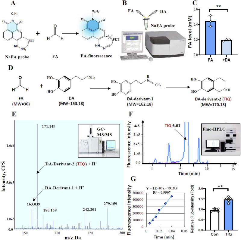 External stress, formaldehyde, and schizophrenia: a new mouse model for mental illness research.