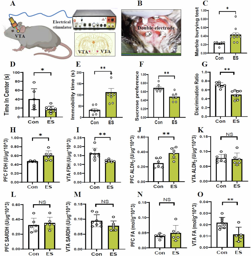 External stress, formaldehyde, and schizophrenia: a new mouse model for mental illness research.