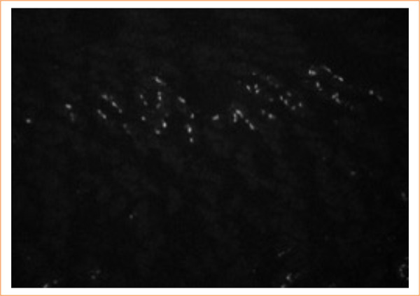 Abstract Image