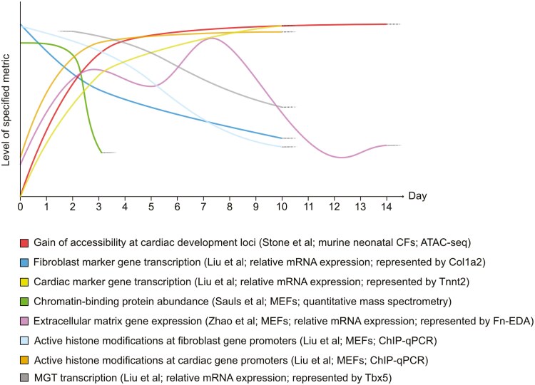 Decoding the epigenetic and transcriptional basis of direct cardiac reprogramming.